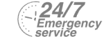 24/7 Emergency Service Pest Control in Herne Hill, SE24. Call Now! 020 8166 9746