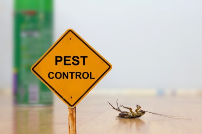Pest Contol in Herne Hill, SE24. Call Now 020 8166 9746